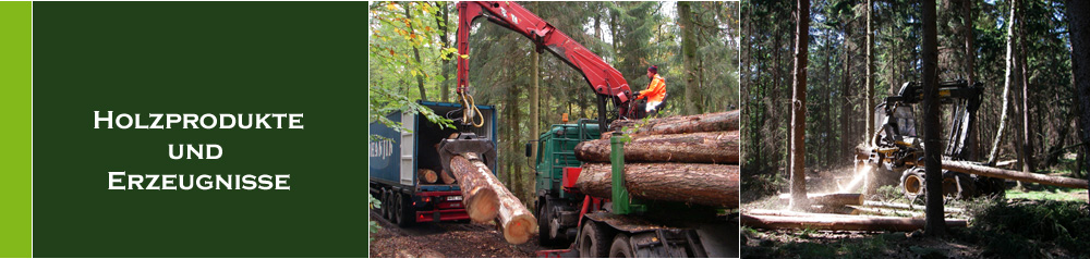 Holzprodukte und Erzeugnisse: Bild 1 = Exportholzverladung