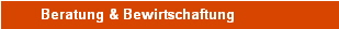 Beratung & Bewirtschaftung